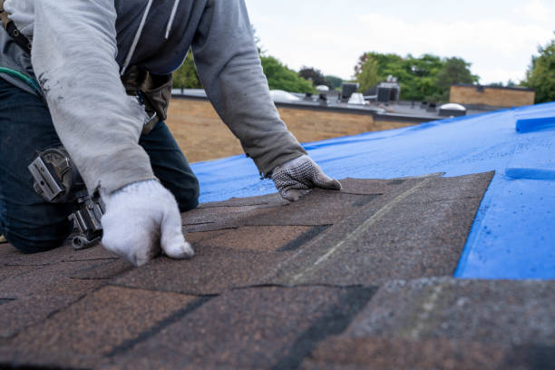 Best Residential Roofing Contractor  in Jasper, FL
