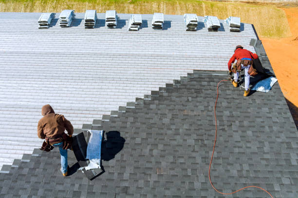Best Storm Damage Roof Repair  in Jasper, FL