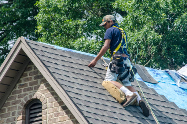 Best Gutter Installation and Roofing  in Jasper, FL